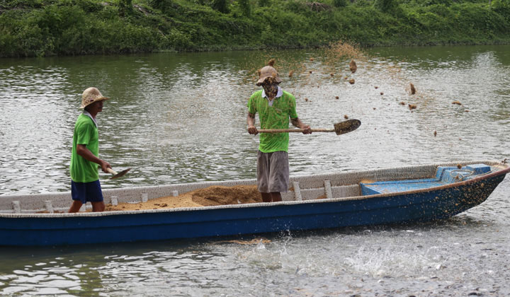Seafood pangasius - Trung Tâm Nuôi Trồng 1 – Vĩnh Long, đạt kế hoạch năm 2016.