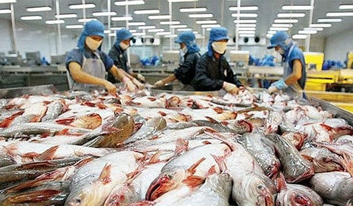 Seafood pangasius - Thị trường cá tra ngày 2/4/2019 (Cập nhật 11-12h)