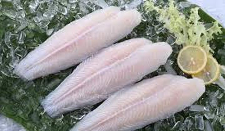 Seafood pangasius - Pangasius companies continued to generate large profits in the first quarter