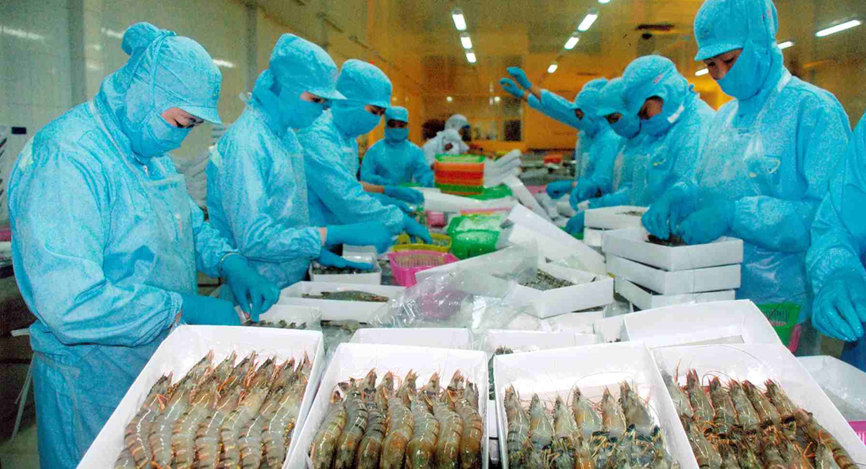 Seafood pangasius - China exempts wide variety of Vietnam exports from tariffs